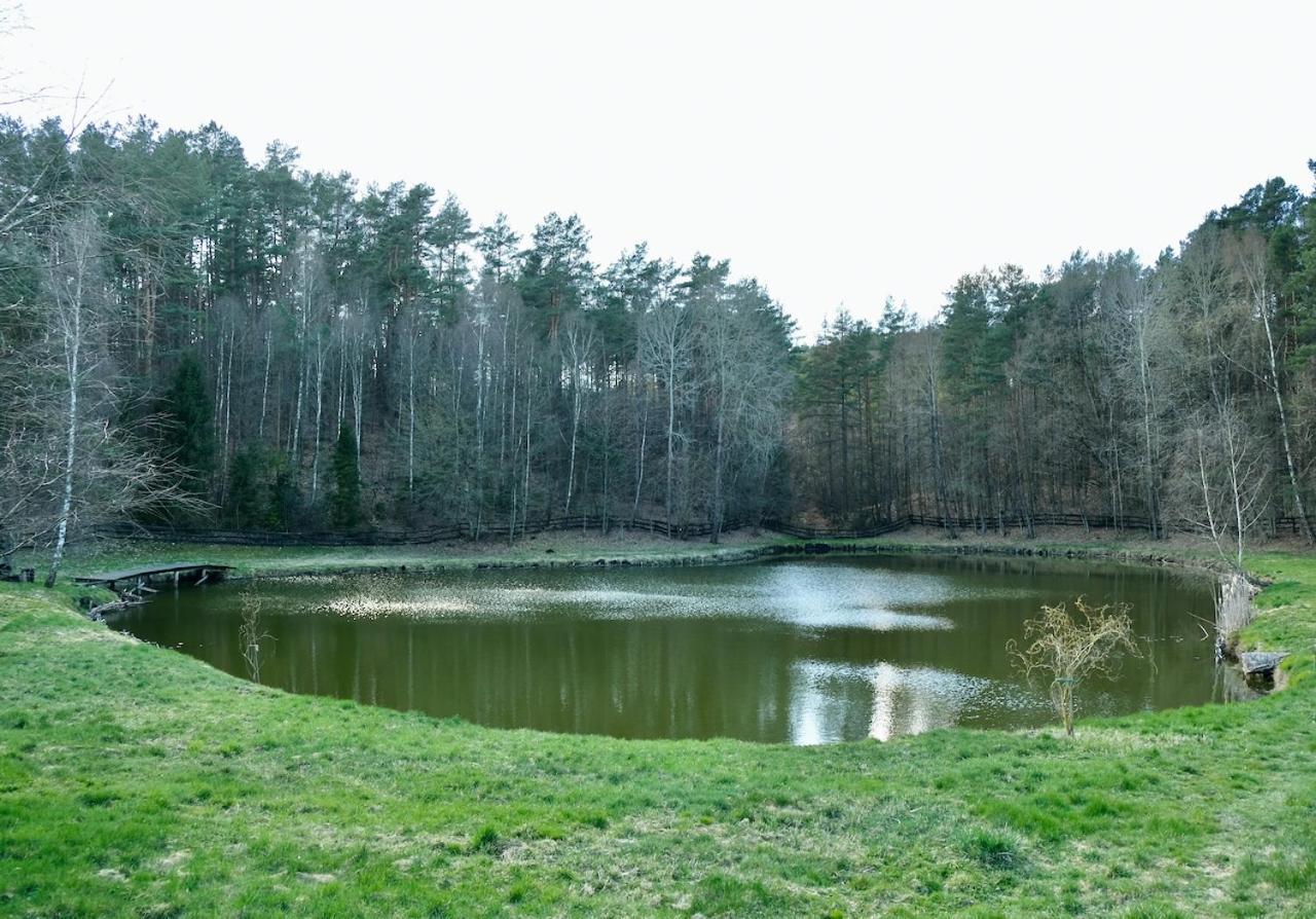 Agroturystyka Strzebielino المظهر الخارجي الصورة